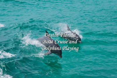Destin Florida Boat Ride And Playful Dolphins